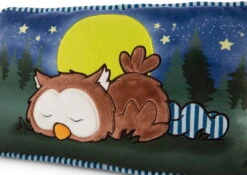 Nici 47879 Kissen Eule Oscar Schlafend Glow In The Dark 43x25cm Plüsch Owlsons 8 Nici 47879 Kissen Eule Oscar Schlafend Glow In The Dark 43x25cm Plüsch Owlsons -Nici Verkaufsgeschäft 47879 04 ZA Frei 2048x1451