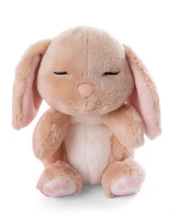 Nici 48708 Sleeping Pets Bunnies Hase Karamell 12cm Schlafend Im Körbchen Peach -Nici Verkaufsgeschäft 48708 05 ZA Frei 1640x2048
